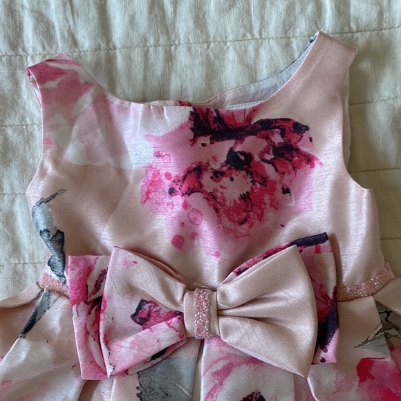 Sweet Heart Rose Floral Pink Sleeveless Dress Size 24 Months - Picture 3 of 11